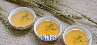 秋冬普洱茶-秋冬普洱茶文案