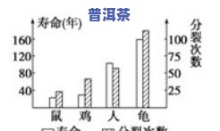 普洱茶的稠度，探究普洱茶的稠度：作用口感的关键因素