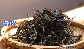 普洱茶细料是什么茶叶做的-普洱茶细料是什么茶叶做的呢