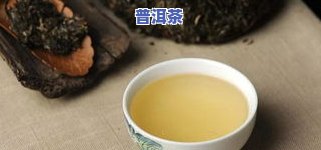 十大顶级普洱茶，探索普洱茶的世界：揭秘十大顶级普洱茶的魅力