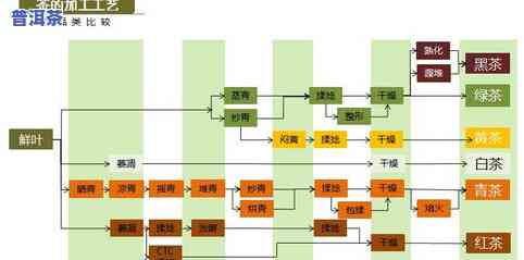 茶叶的生产工艺流程-茶叶的生产工艺流程图