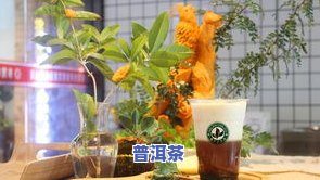 古树金芽茶叶怎么泡好喝，如何泡制一杯美味的古树金芽茶叶？