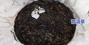 普洱茶黑色虫子是什么东西-普洱茶黑色虫子是什么东西图片