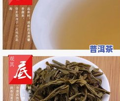 七子饼普洱茶价格表生茶，最新！七子饼普洱茶价格表（生茶版）出炉，一目了然！