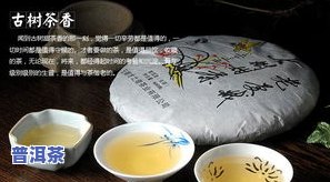 七子饼普洱茶价格表生茶，最新！七子饼普洱茶价格表（生茶版）出炉，一目了然！