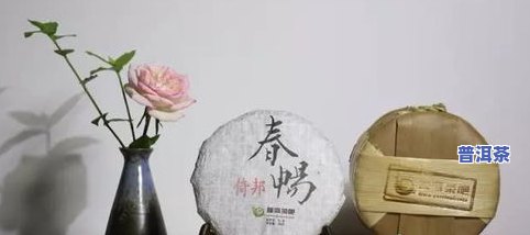 普洱茶源头有哪些茶种图片-普洱茶源头有哪些茶种图片大全