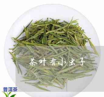 茶叶里面有白色的虫-茶叶里面有白色的虫子