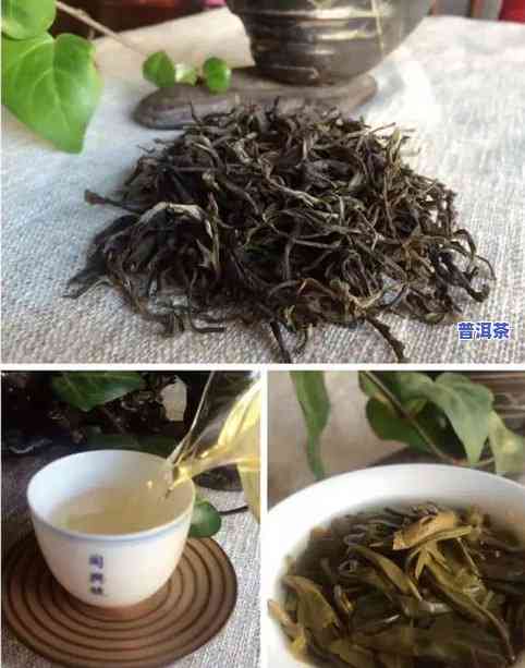 2008年春料蜜香冰岛普洱生茶，2008年春料，蜜香冰岛普洱生茶