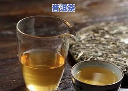 普洱茶形制-普洱茶的制茶工艺