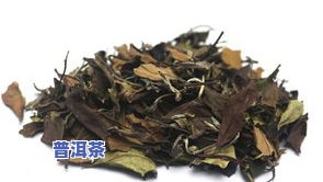 云南普洱茶熟茶工厂在哪里？求详细地址！