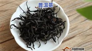 新派普洱茶-新派茶叶