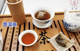 新派普洱茶-新派茶叶