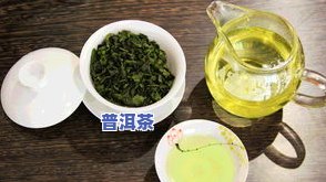 普洱茶茶青，深度解析：普洱茶茶青的生长过程与品质作用因素