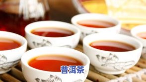 七饼普洱茶饼价格，寻找好茶？七饼普洱茶饼价格全解析！