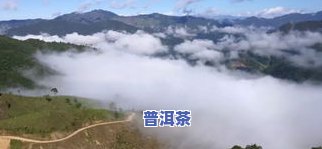 巴达山和布朗山普洱茶哪个好，巴达山与布朗山：哪种普洱茶更胜一筹？