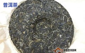 巴达山普洱好不好，巴达山普洱茶：品质怎样？值得一试吗？