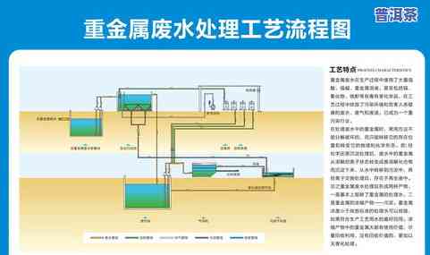 上海普洱茶工艺流程图片-上海普洱茶工艺流程图片