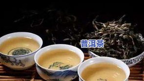 普洱茶和雀舌哪个好一点-普洱茶和雀舌哪个好一点呢