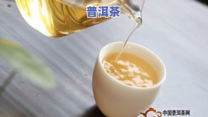 普洱茶属于什么茶类，探秘普洱茶：了解这种独特的茶类