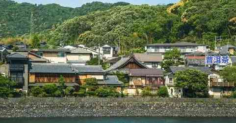 云南山外山茶叶，探索云南山外山茶叶：优质茶叶的诞生地