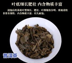 普洱茶40年：陈年老茶能否饮用？价值几何？