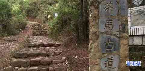 普洱茶马古城简介，探秘云南文化：普洱茶马古城简介