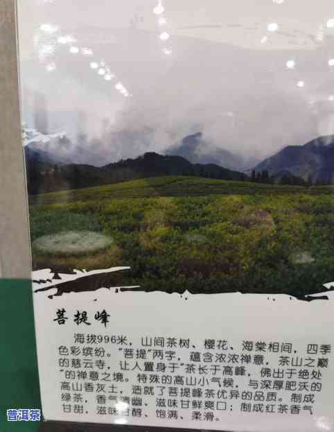 新昌县茶叶龙头企业排名，揭秘新昌县茶叶龙头企业排名，一行业佼佼者风采！