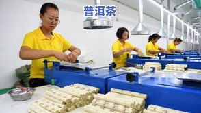 茶叶加工厂属于工业吗，茶叶加工厂：它是工业的一部分吗？