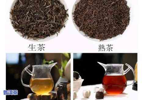 两年普洱茶-两年普洱茶好喝吗