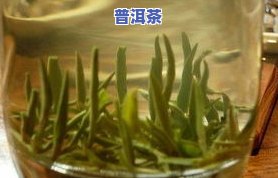 金井茶叶和湘丰茶业-金井茶叶和湘丰茶业哪个好