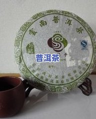 泰安茶厂生普茶饼，品味韵味：泰安茶厂生普茶饼的特别魅力