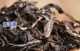 冰岛普洱茶哪些年份更好-冰岛普洱茶哪些年份更好喝