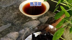 普洱茶中的天叶是什么-普洱茶中的天叶是什么茶