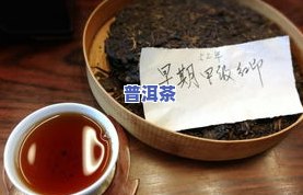 普洱茶一颗一颗，一颗一颗的普洱茶，品味独特的口感体验