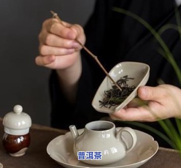 如何才能泡好普洱茶呢视频讲解，掌握普洱茶冲泡技巧，让你轻松泡出美味茶汤！