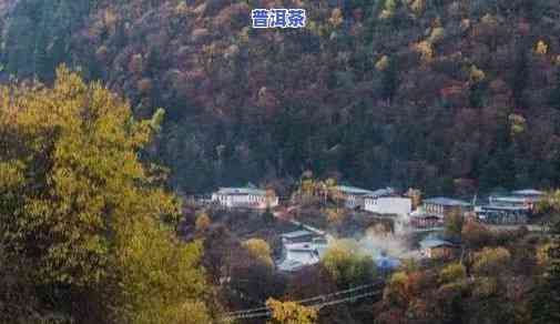 普洱茶山公园，探秘云南风情：普洱茶山公园之旅