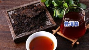 普洱茶在哪里卖的好，寻找好品质的普洱茶？哪里买更好？