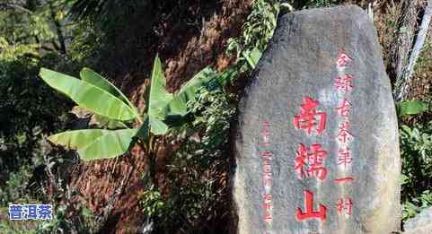 勐海古树普洱茶保质期多久，揭秘勐海古树普洱茶的保质期，让你喝得更安心！