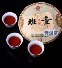 天弘茶业普洱茶产地在哪里呀，探寻普洱茶的起源：揭秘天弘茶业普洱茶的产地