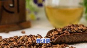 橙普洱茶的功效与作用，探究橙普洱茶的神奇功效与作用