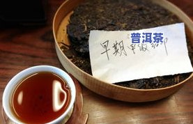 勐海华普茶业老班章：1985、2019年价格对比