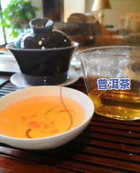 野生古树茶与普洱茶的区别：从原料、工艺到口感的全面比较