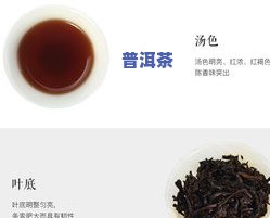 用普洱茶做花肥的方法是-用普洱茶做花肥的方法是什么