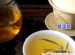 蓝印普洱茶图片-蓝印普洱茶图片大全