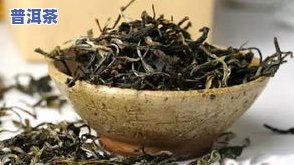 冰岛普洱茶有几棵古树茶-冰岛普洱茶有几棵古树茶叶