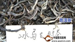 冰岛普洱茶有几棵古树茶-冰岛普洱茶有几棵古树茶叶