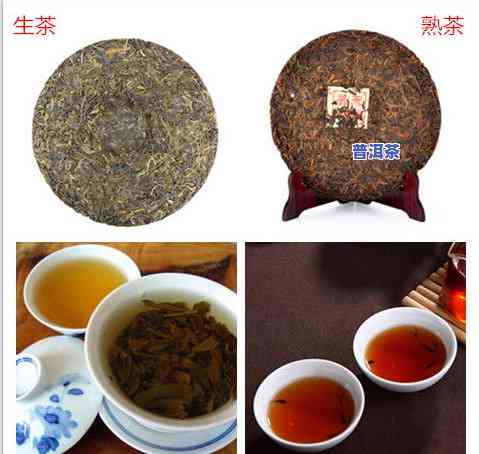 普洱茶怎么分辨生茶和熟茶，辨别普洱茶的生熟之谜：全面解析与实用技巧