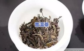 国粹普洱茶价格-国粹普洱茶价格表