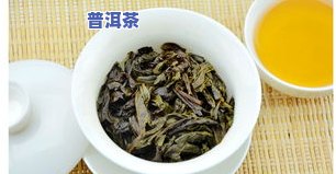 云南十大普洱茶排名，揭秘云南十大顶级普洱茶，哪一款是你的更爱？