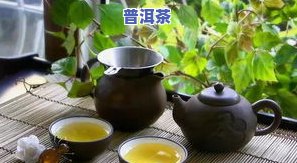 普洱茶的主要，探索普洱茶的世界：主要的介绍与比较